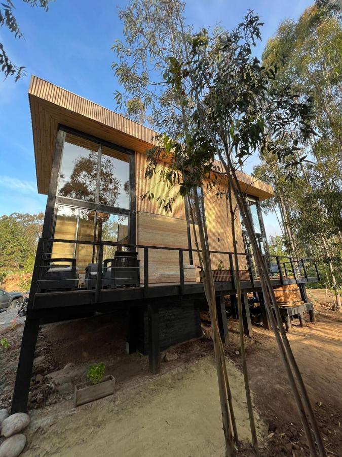 Tripanko Lodge & Bungalows Pichilemu Kültér fotó
