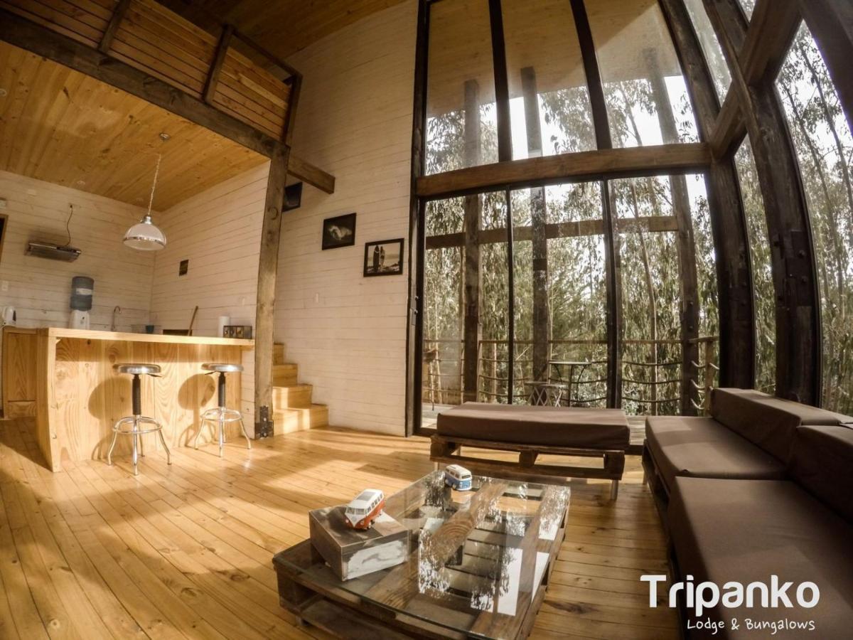 Tripanko Lodge & Bungalows Pichilemu Kültér fotó