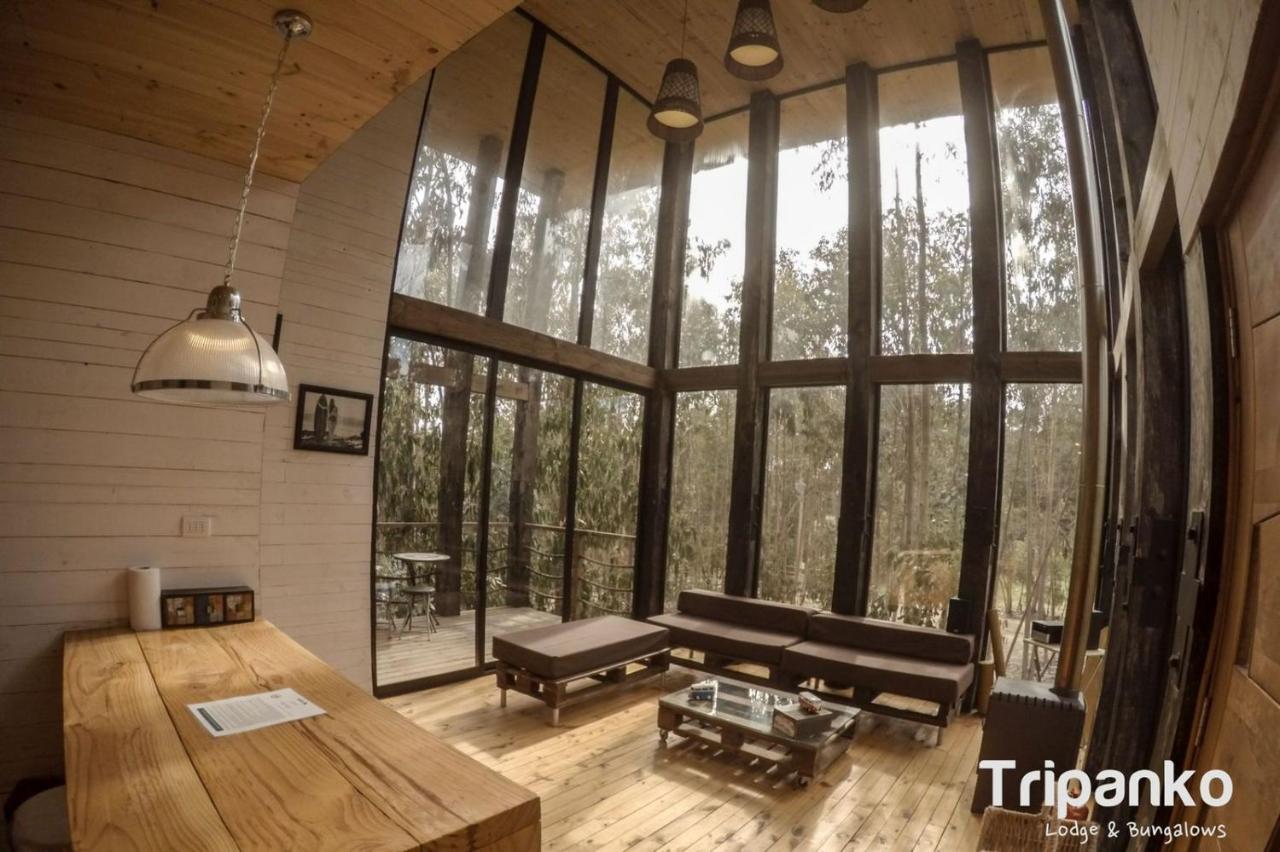 Tripanko Lodge & Bungalows Pichilemu Kültér fotó
