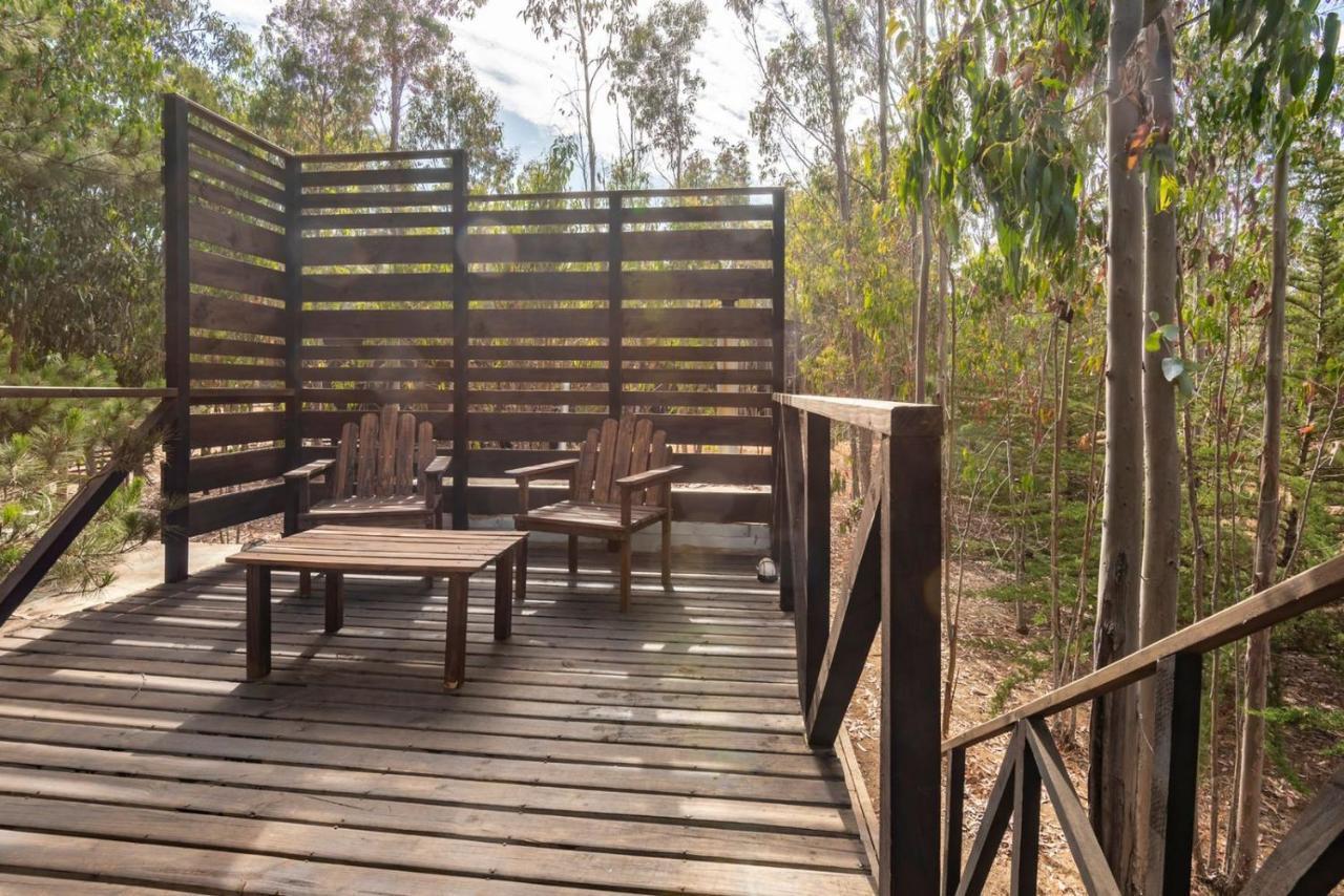Tripanko Lodge & Bungalows Pichilemu Kültér fotó