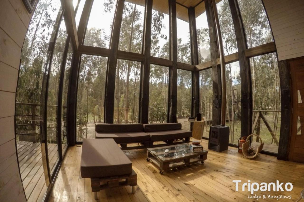 Tripanko Lodge & Bungalows Pichilemu Kültér fotó