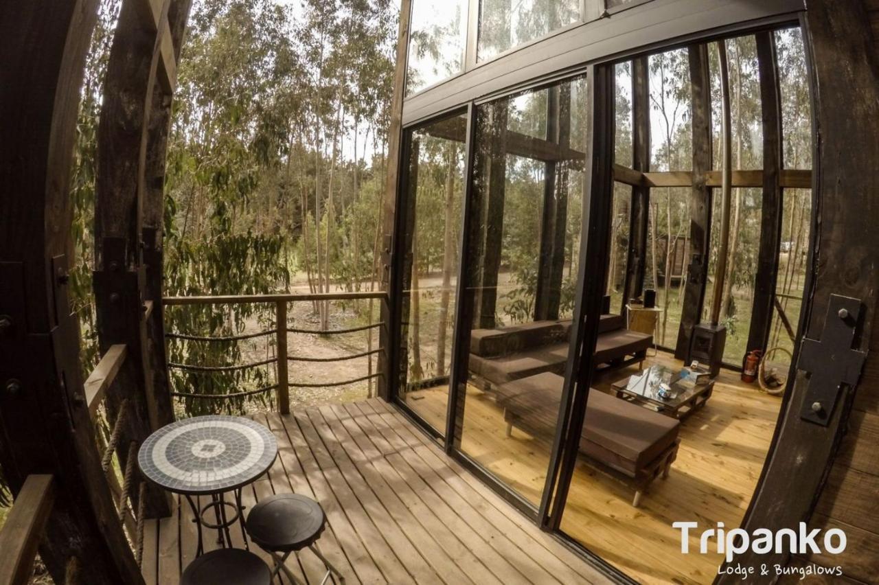 Tripanko Lodge & Bungalows Pichilemu Kültér fotó
