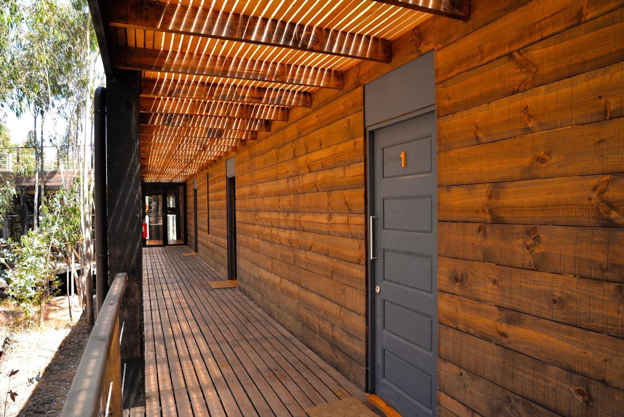Tripanko Lodge & Bungalows Pichilemu Szoba fotó