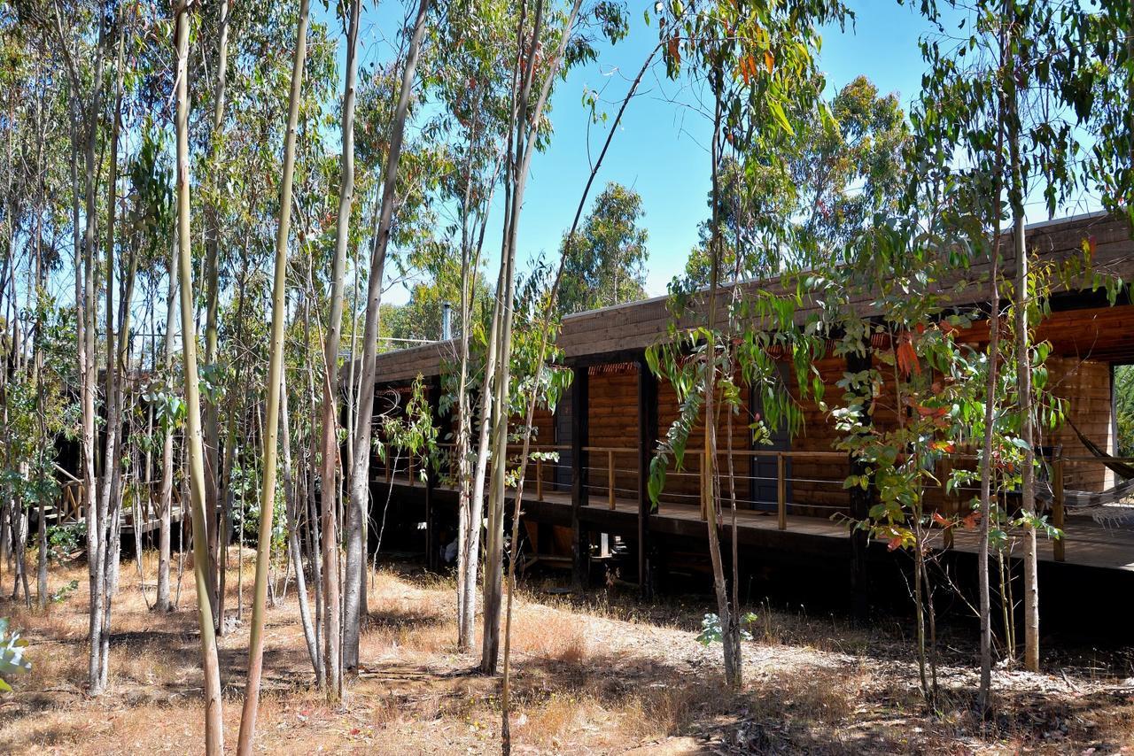 Tripanko Lodge & Bungalows Pichilemu Kültér fotó