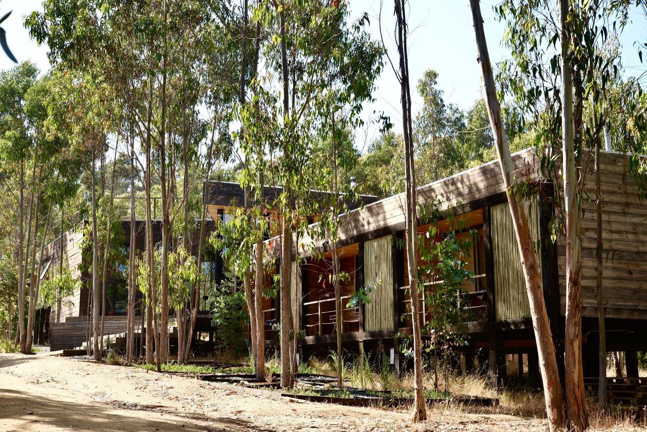 Tripanko Lodge & Bungalows Pichilemu Kültér fotó