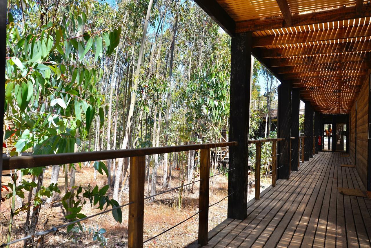 Tripanko Lodge & Bungalows Pichilemu Kültér fotó