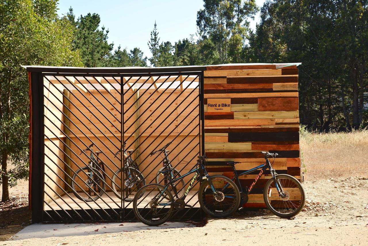 Tripanko Lodge & Bungalows Pichilemu Kültér fotó