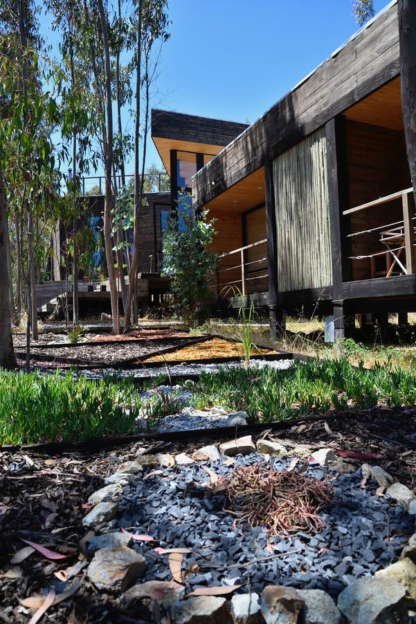 Tripanko Lodge & Bungalows Pichilemu Kültér fotó